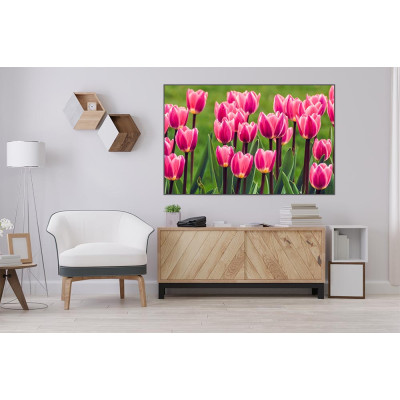 Tableau Tulipes Roses 90X60CM TAB-FR02