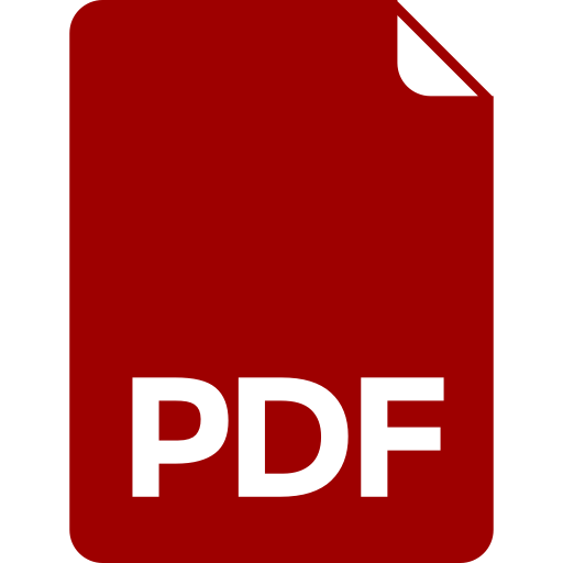 ICONE PDF